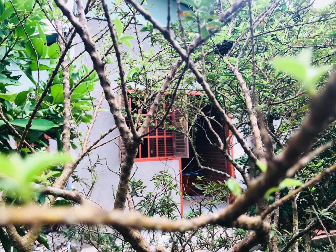 Mekong Rustic Cai Be Apartment Exterior photo